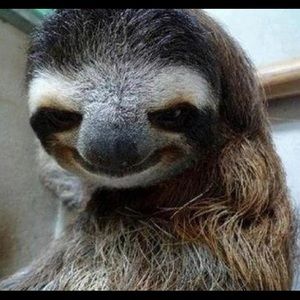 Meet your Posher, Kristen